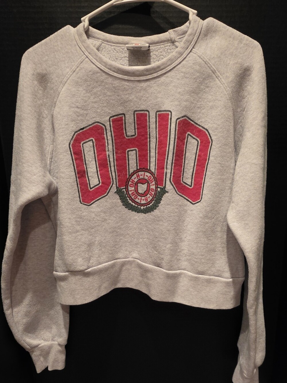Ohio Graphic Crewneck Cropped Sweatshirt - Gray with Red Logo